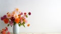 plain simple light background
