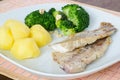 Plain slices of grilled fish with potatoes and broccoli