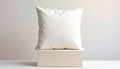 Plain white cushion resting on a beige rectangular block pillow soft Royalty Free Stock Photo