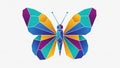 Is plain white highlighting the vividness and structure of the butterfly Royalty Free Stock Photo