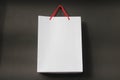 Plain white paperbag for product samples
