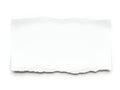 Blank tear sheet of paper with rough edges Royalty Free Stock Photo