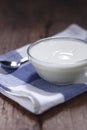 Plain yogurt in small glass bowl Royalty Free Stock Photo