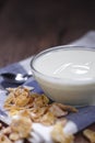 Plain yogurt in small glass bowl with crispy cereal Royalty Free Stock Photo