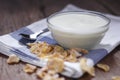 Plain yogurt in small glass bowl Royalty Free Stock Photo