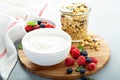 Plain yougurt with granola on side Royalty Free Stock Photo