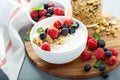 Plain yougurt with granola on side Royalty Free Stock Photo
