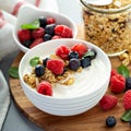 Plain yougurt with granola on side Royalty Free Stock Photo