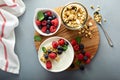 Plain yougurt with granola on side Royalty Free Stock Photo