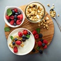 Plain yougurt with granola on side Royalty Free Stock Photo