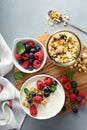 Plain yougurt with granola on side Royalty Free Stock Photo