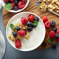 Plain yougurt with granola on side Royalty Free Stock Photo