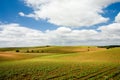 Plains of Alentejo, Portugal Royalty Free Stock Photo