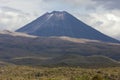 The plains in front of Mount Ngauruhoe Royalty Free Stock Photo