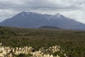 The plains in front of Mount Tongariro Royalty Free Stock Photo