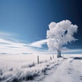 Plains infrared depth of field