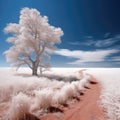 Plains infrared depth of field