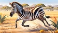 Plains Zebra horse stripes South Africa natural habitat