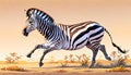 Plains Zebra South Africa small striped horse