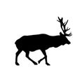 Deer wapiti vector black silhouette isolated