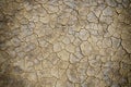 Cracks of the dried soil