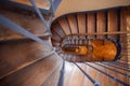 A plan view of a spiral wooden staircase