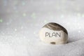 plan word carved on stone on white sand with glittering