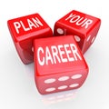 Plan Your Career Dice Gamble Future Opportunity