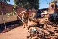 Planaltina, GoaÃÂ¡s, Brazil-July 7, 2018: A woman cleaning up her backyard