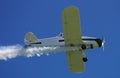 Plane at the air show Royalty Free Stock Photo