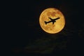Plane, Aircraft Silhouette Against Full Moon