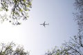 Plane crossing the sky of leaden or white colour. It can be seen between the branches of the trees of the city. Concept holidays