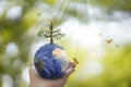 Plane Earth globe ball and growing tree in human hand, flying yellow butterfly on green sunny background.