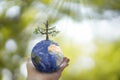 Plane Earth globe ball and growing tree in human hand on green sunny background.