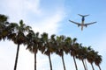 Plane flies against the palm trees Royalty Free Stock Photo