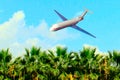 The plane flies over the tropical trees to land on a clear Royalty Free Stock Photo