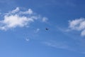 A plane flying against a blue sky with cirrus and cumulus clouds. The concept of travel, adventure Royalty Free Stock Photo