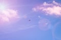 A plane flying against a blue sky with cirrus and cumulus clouds. The concept of travel, adventure Royalty Free Stock Photo