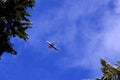 Plane flying in blue sky with clouds Royalty Free Stock Photo