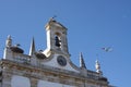 Plane flying over nests of white storks