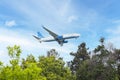 the plane is flying over the trees in the blue sky. Royalty Free Stock Photo