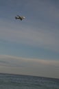 Plane landing at Nice airport over the Mediterranean Sea Royalty Free Stock Photo