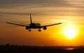 Plane landing in sunrise Royalty Free Stock Photo