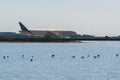 Larnaca, Cyprus, Europe - Jan. 29, 2018, plane in the Larnaca International Airport and salt lake with some flamingos
