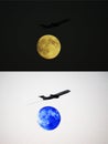 A plane and the Moon