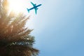 Plane and Palm background with sky and sun light Royalty Free Stock Photo
