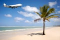Plane and palm on beach Royalty Free Stock Photo