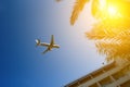 Plane passing palm trees tops and hotel building with blue sky on background Royalty Free Stock Photo