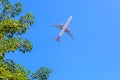 Plane prepare landing on blue sky Royalty Free Stock Photo