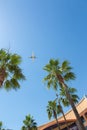 Plane in the sky seen from below with palm trees Royalty Free Stock Photo